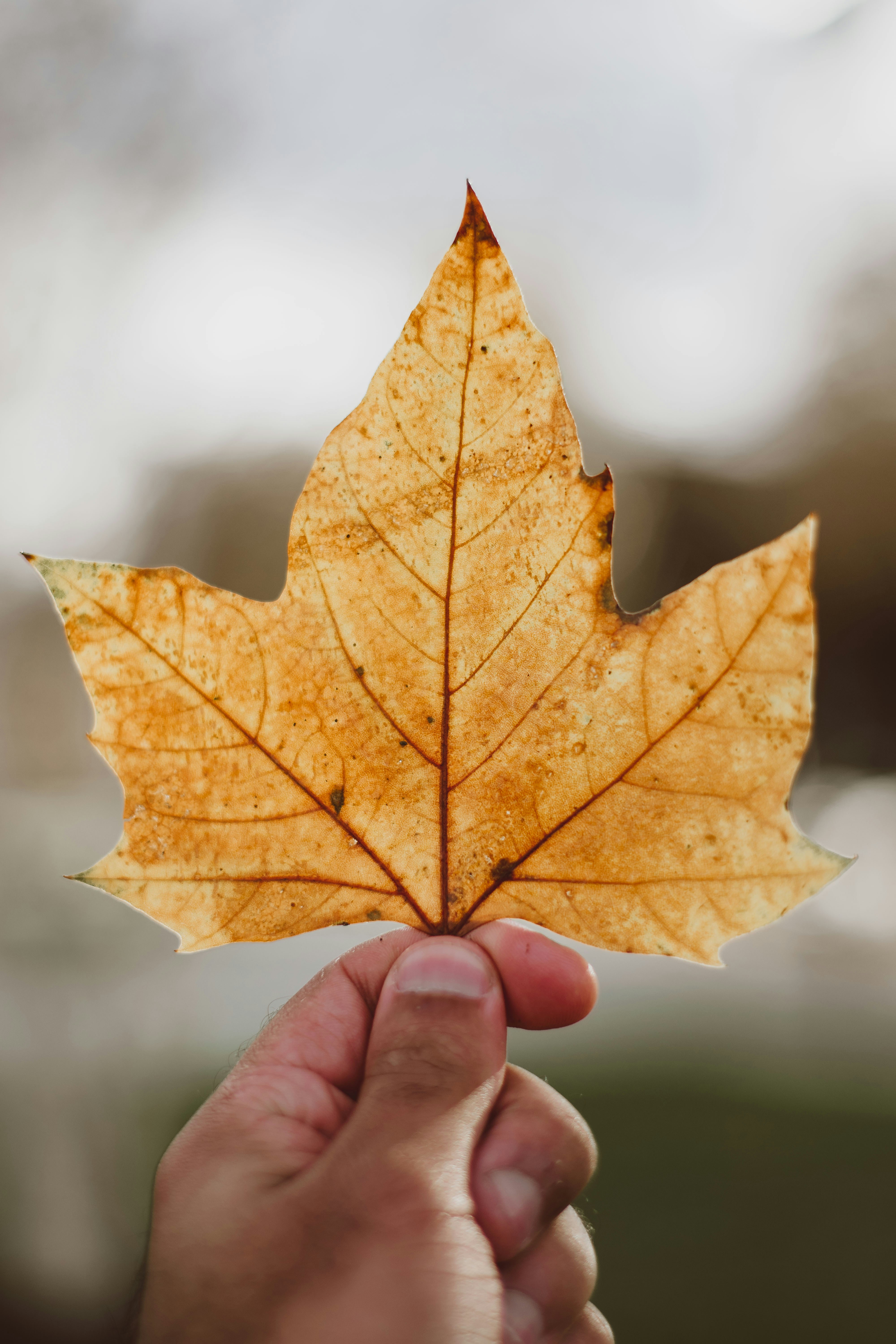 Photo by bnsouzafotografia