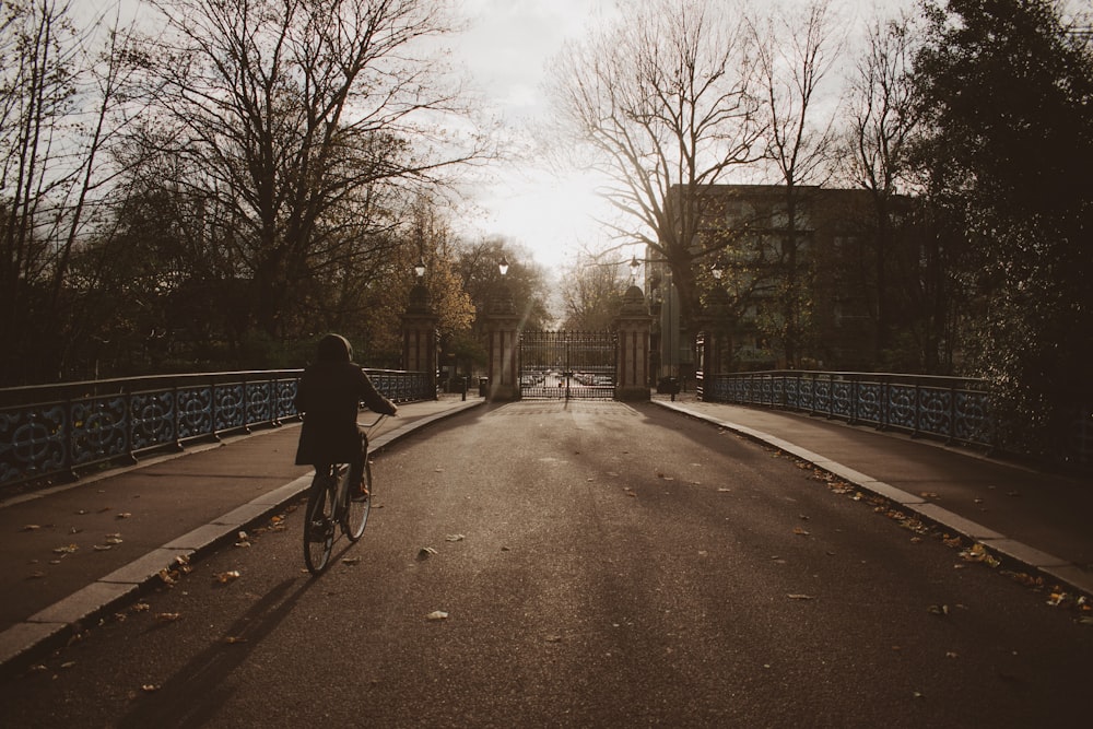 a person riding a bicycle on a road with trees on the side