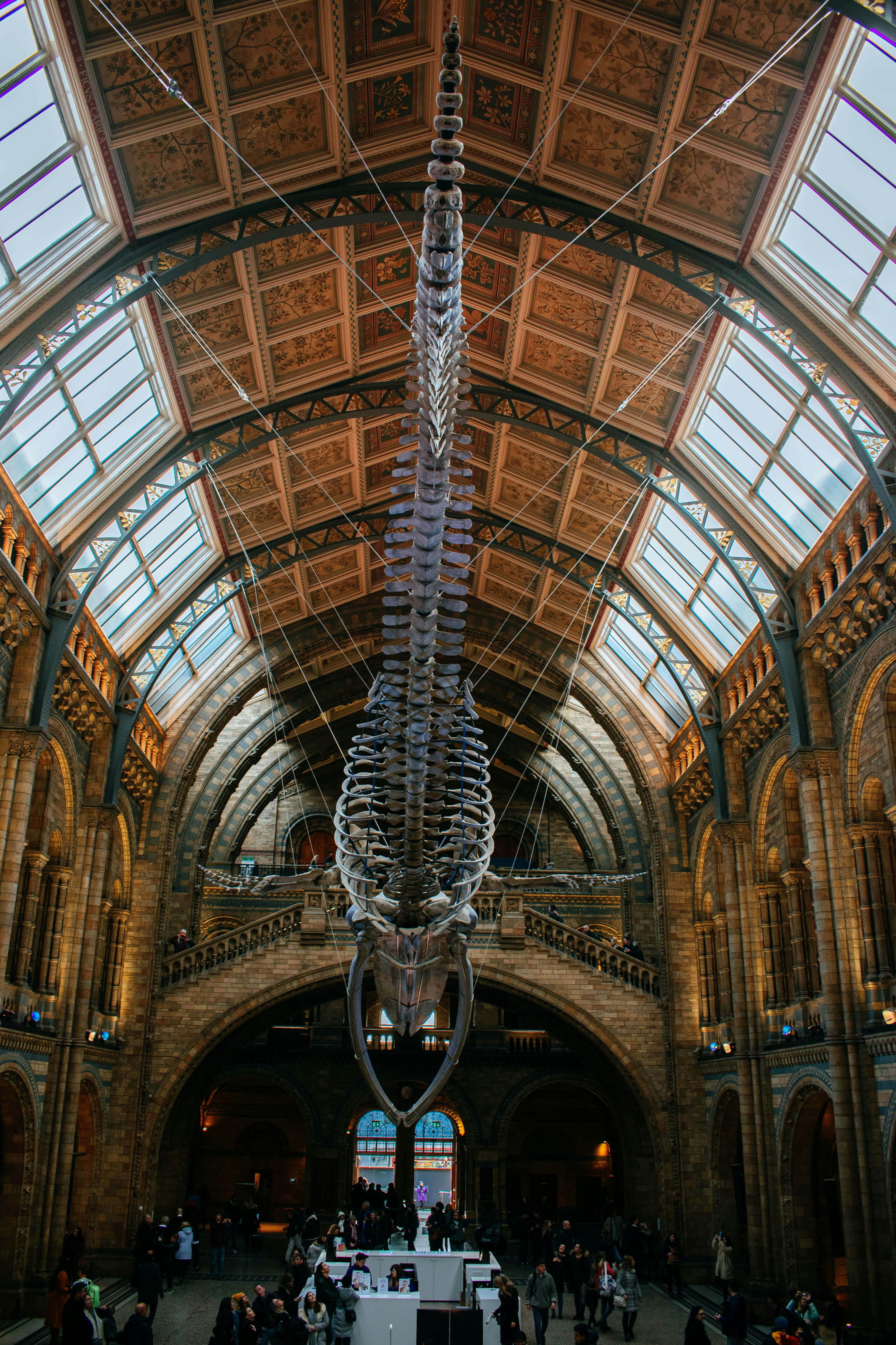 Photo by bnsouzafotografia