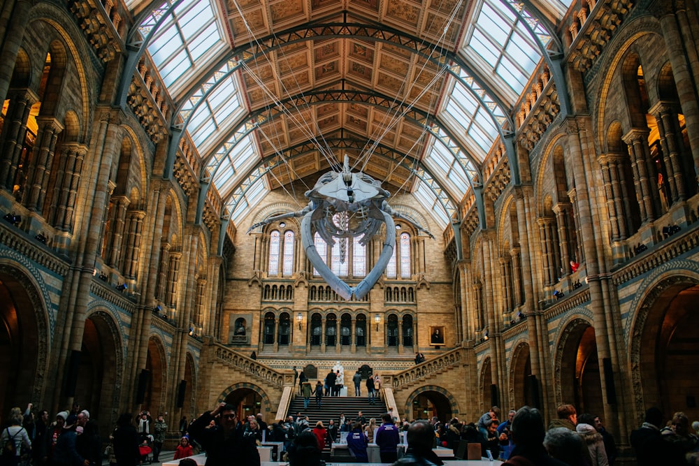 a large ornate building with many people with Natural History Museum in the background