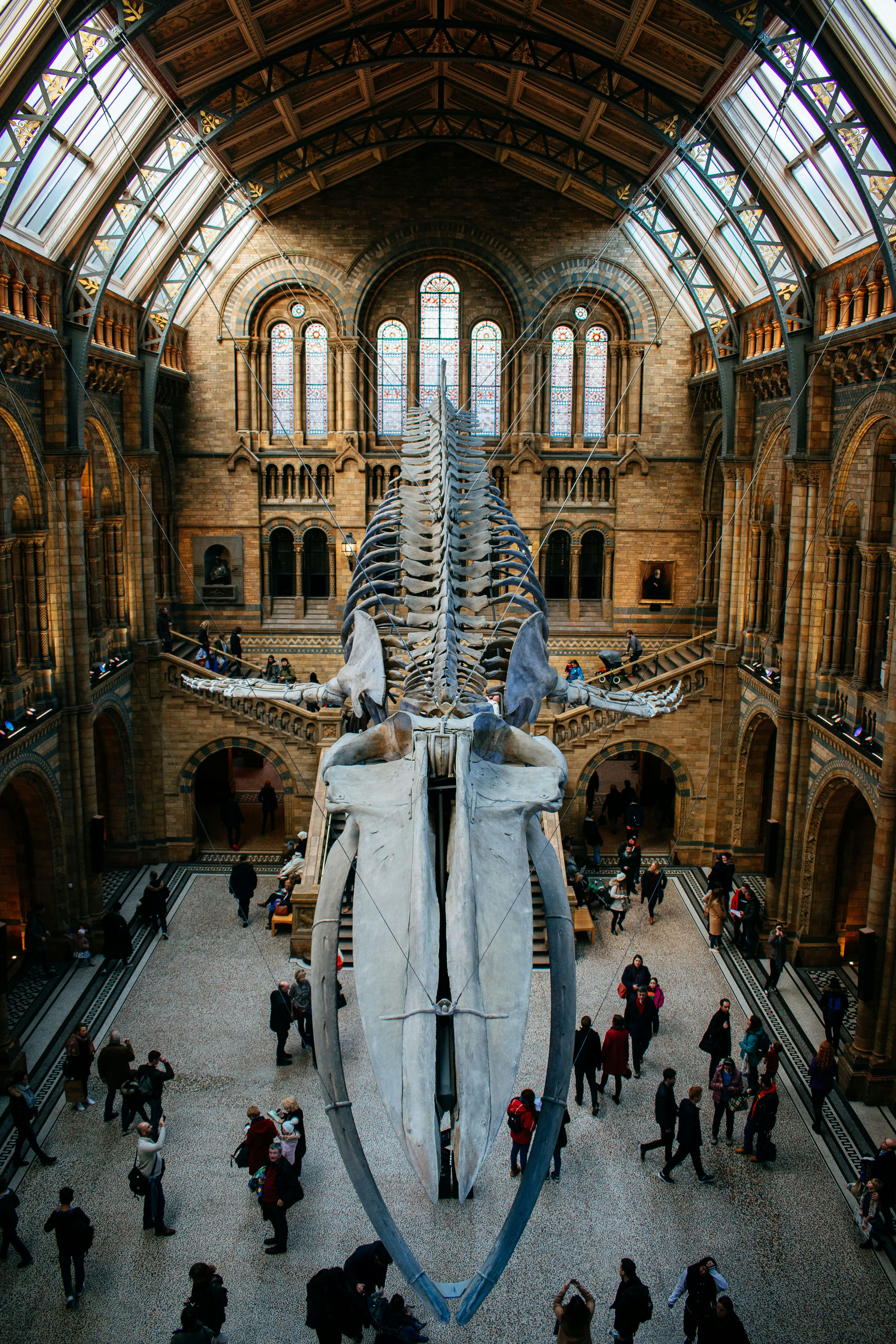 Photo by bnsouzafotografia