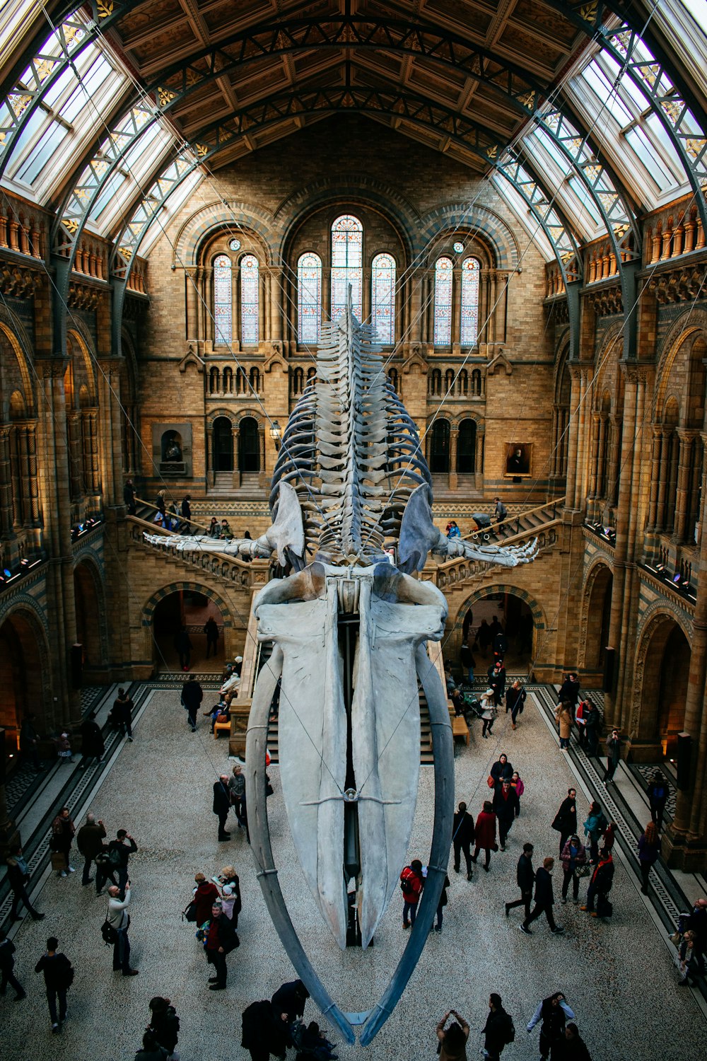 a large statue in a large building with Natural History Museum in the background