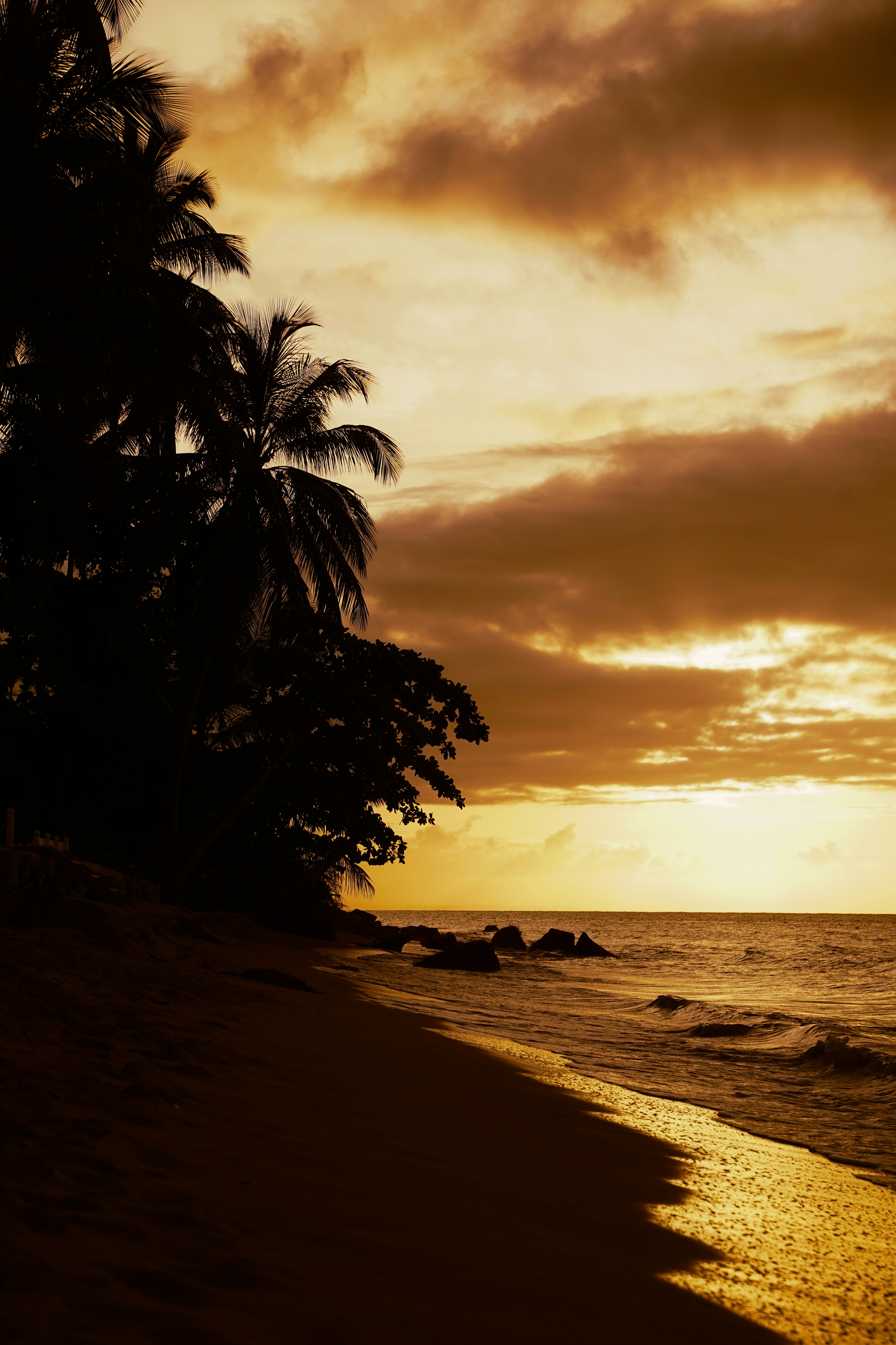 Las Terrenas – Transportation & Getting Around