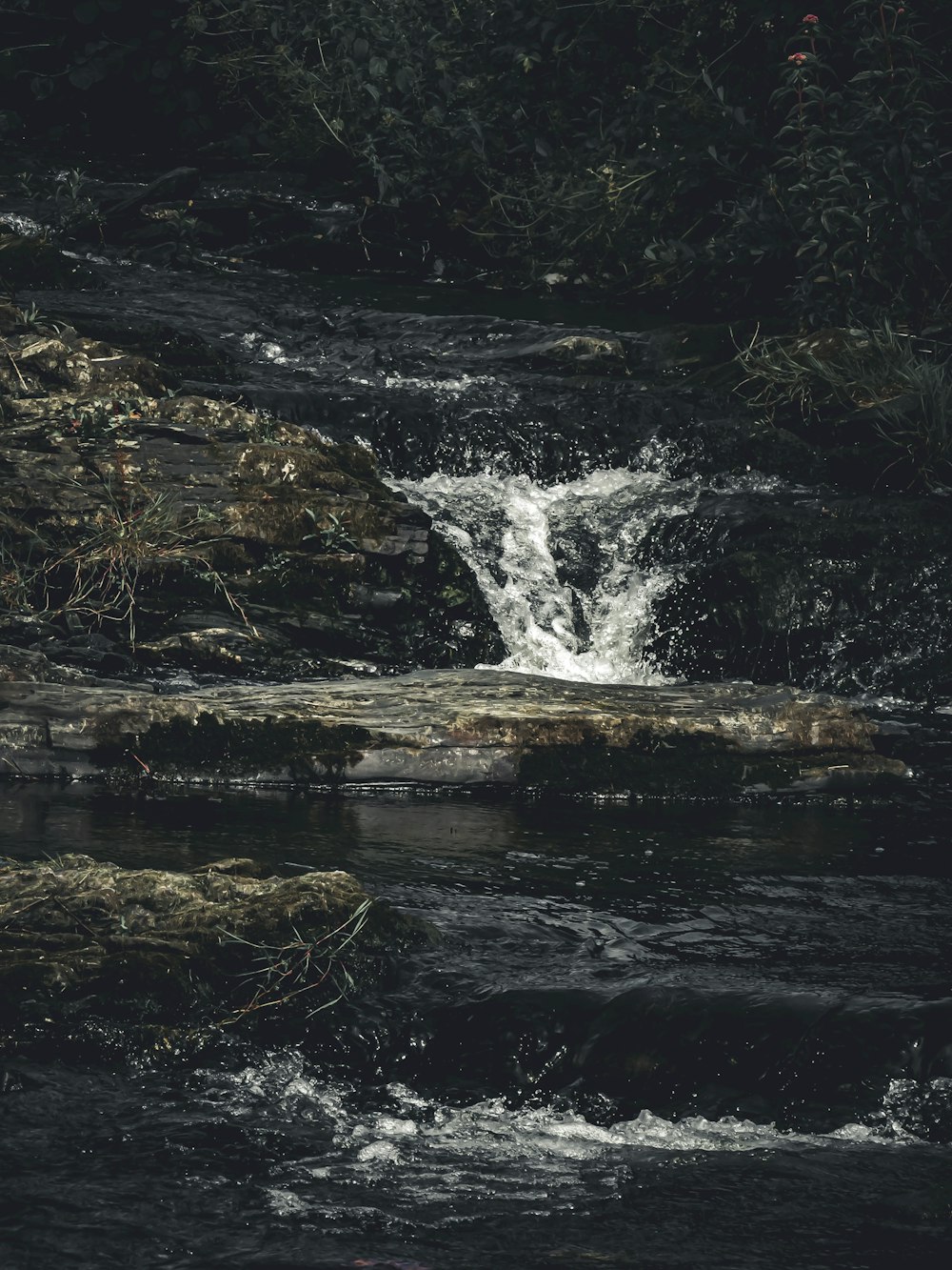 a waterfall in a forest