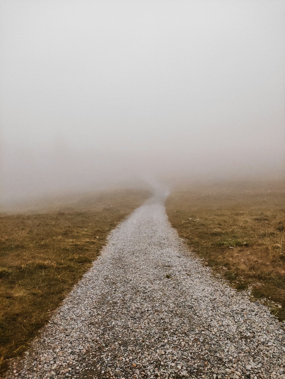 eine unbefestigte Straße mit Gras auf beiden Seiten