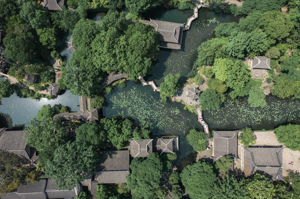 a group of houses surrounded by trees