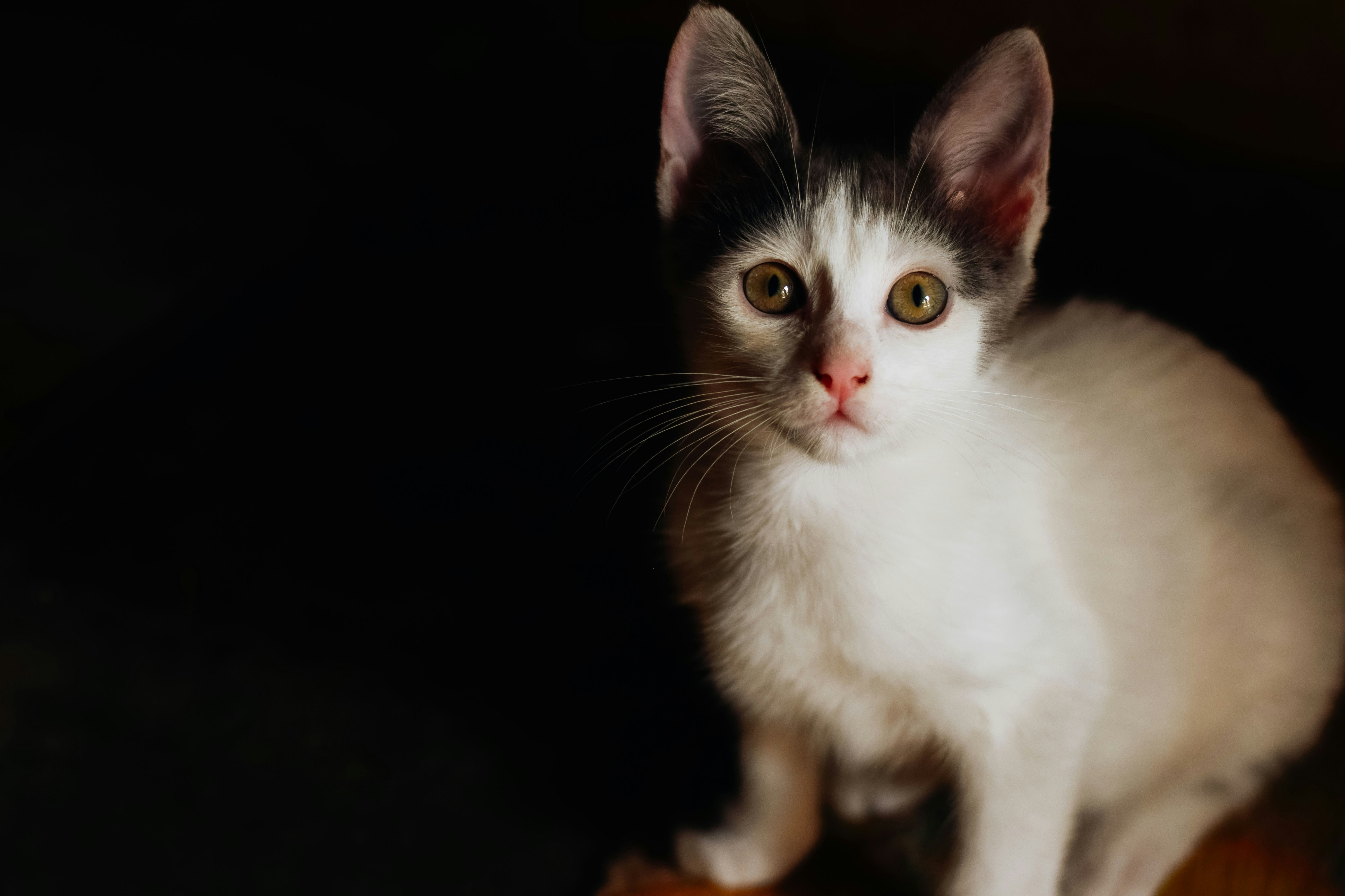 Photo by bnsouzafotografia