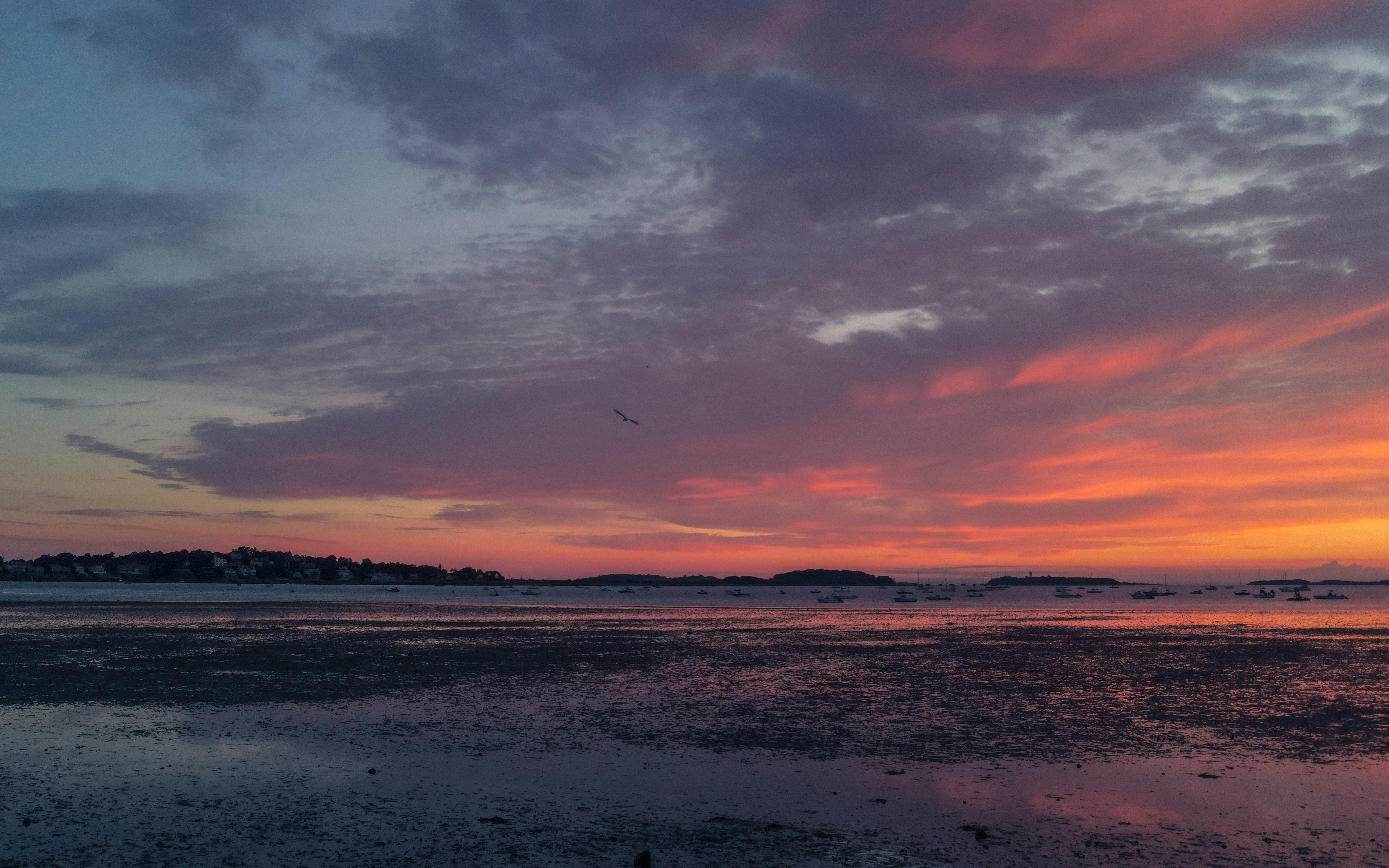 Photo by navinhardyal