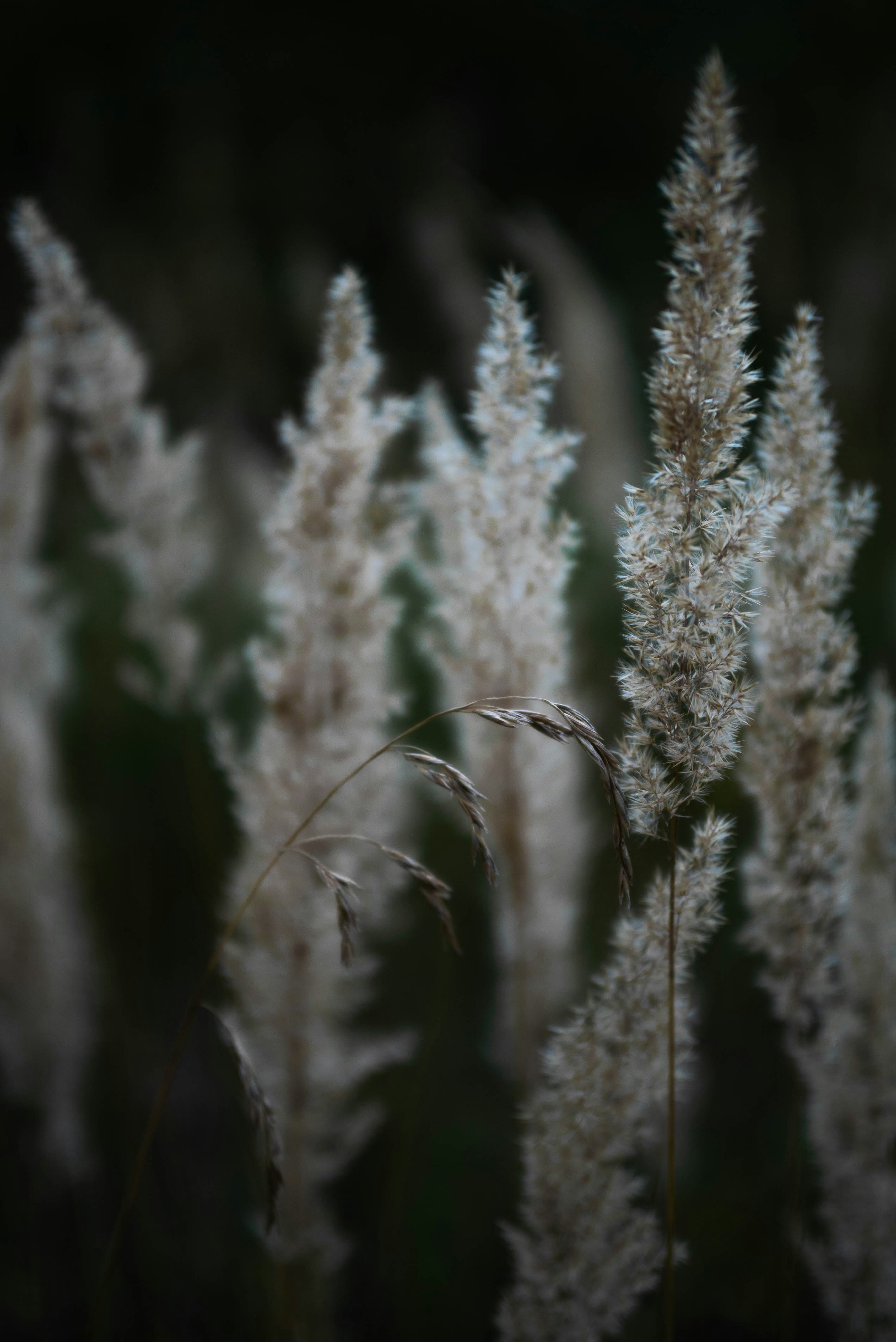Photo by vlad_ion