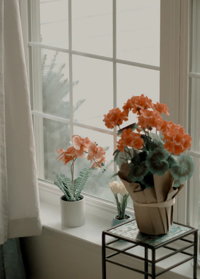 A serene indoor garden corner bathed in soft natural light, featuring elegant ceramic pots with lush green plants and subtle glass reflections.