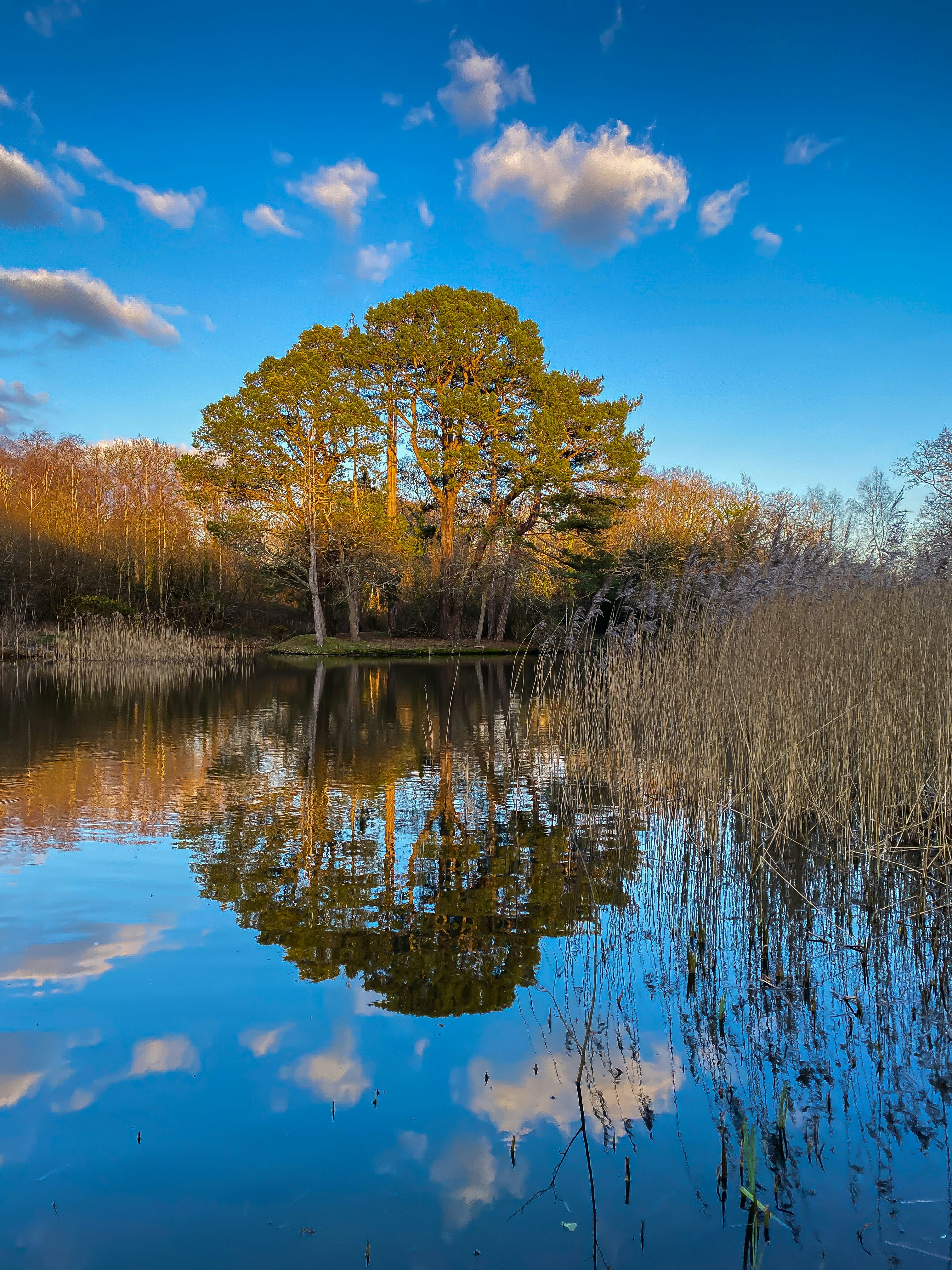 Photo by laurelsibanda