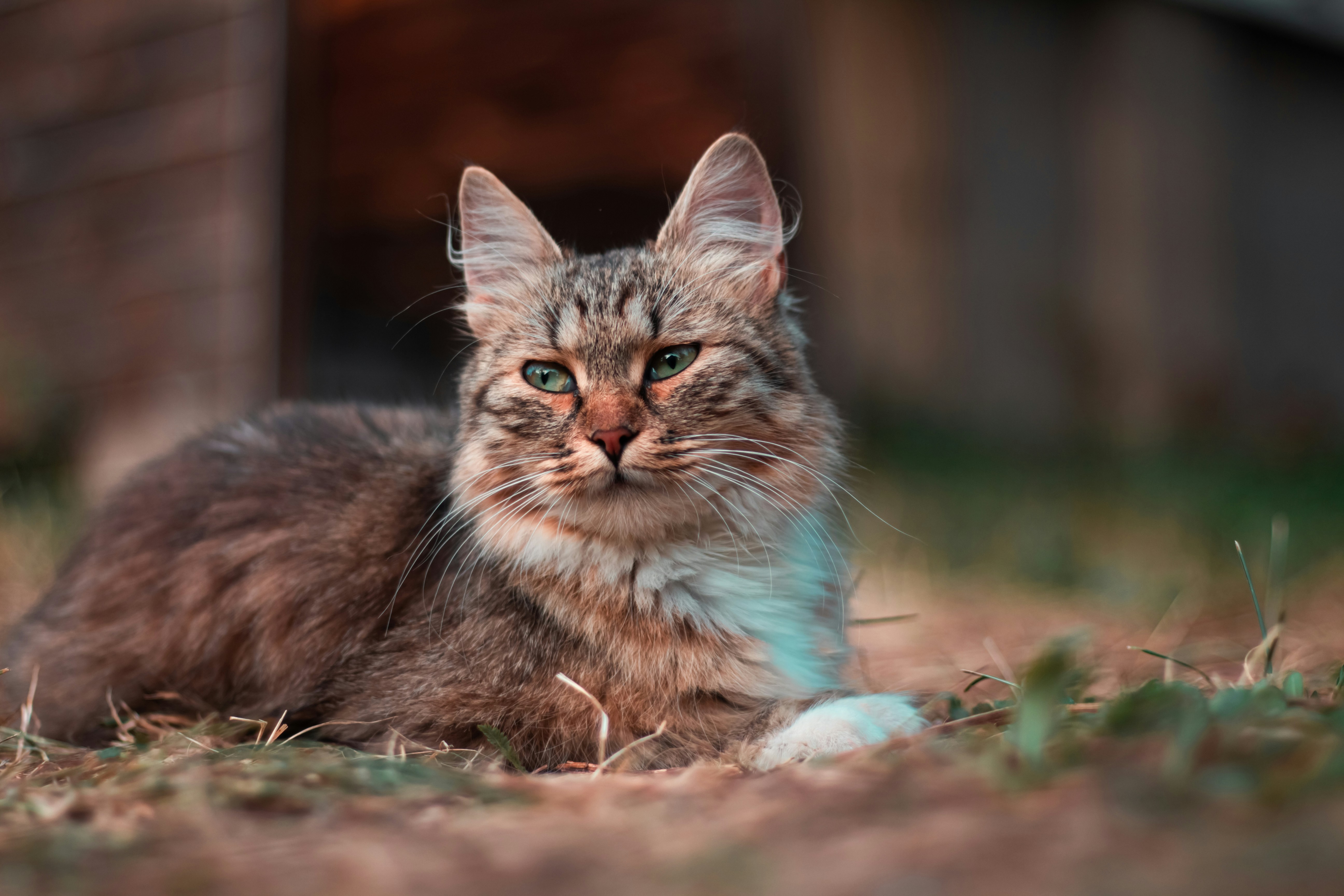 Photo by artyshine