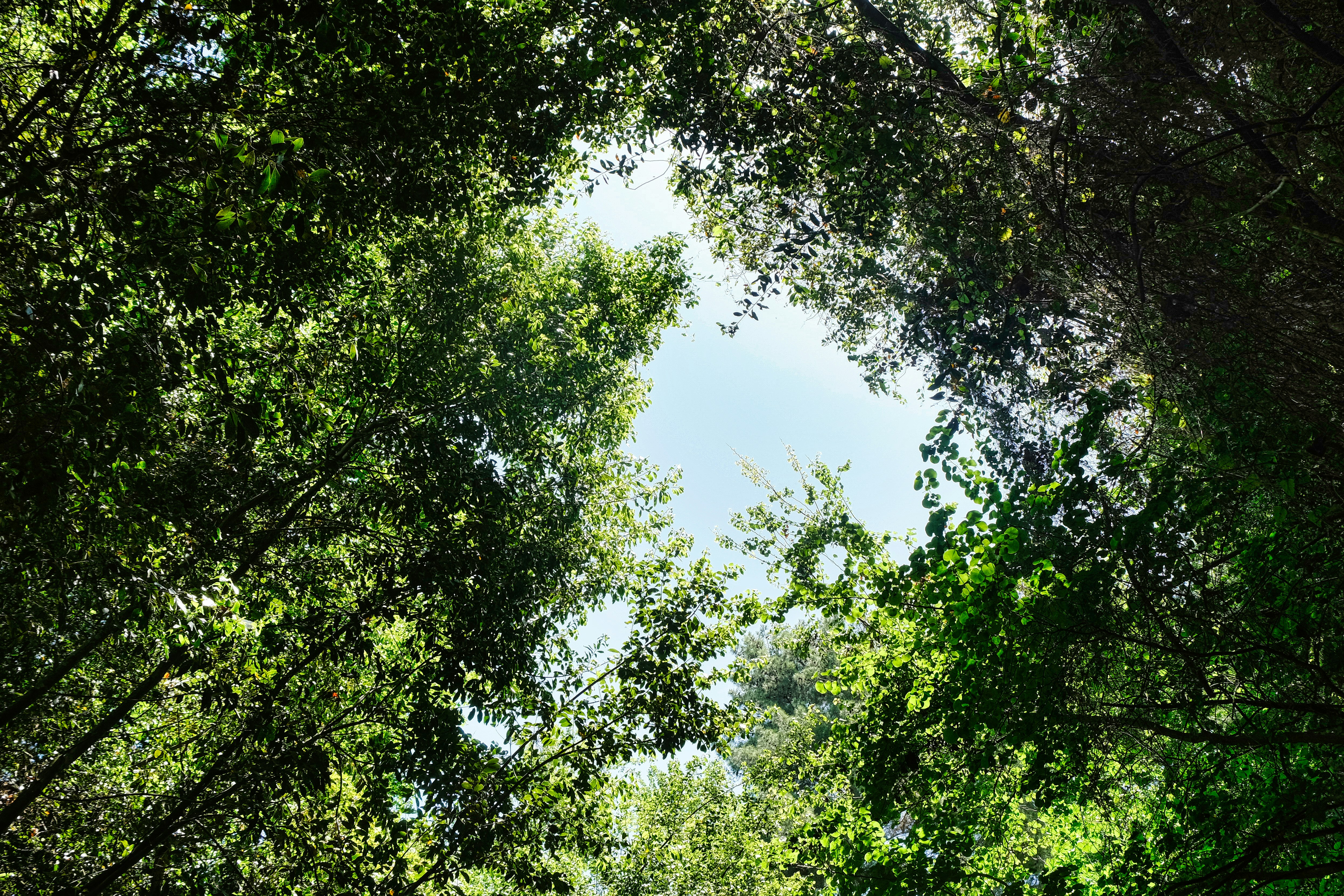 Photo by etienneflorent