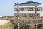 A signpost with a blue fish on top points in a direction, featuring three wooden planks with the inscriptions 'SALINA PEIXE REI,' 'CAPITAL MOURA,' and 'PROPRIEDADE PRIVADA.' In the background, a dirt road leads to a row of parked cars and a flat landscape with sparse vegetation under a clear sky.