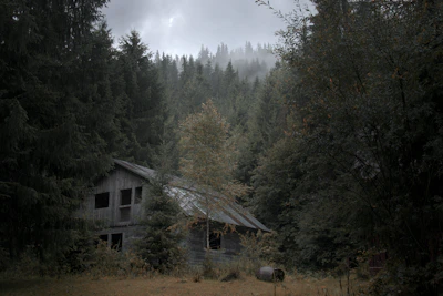 A dimly lit abandoned cabin with broken windows and creeping fog outside.