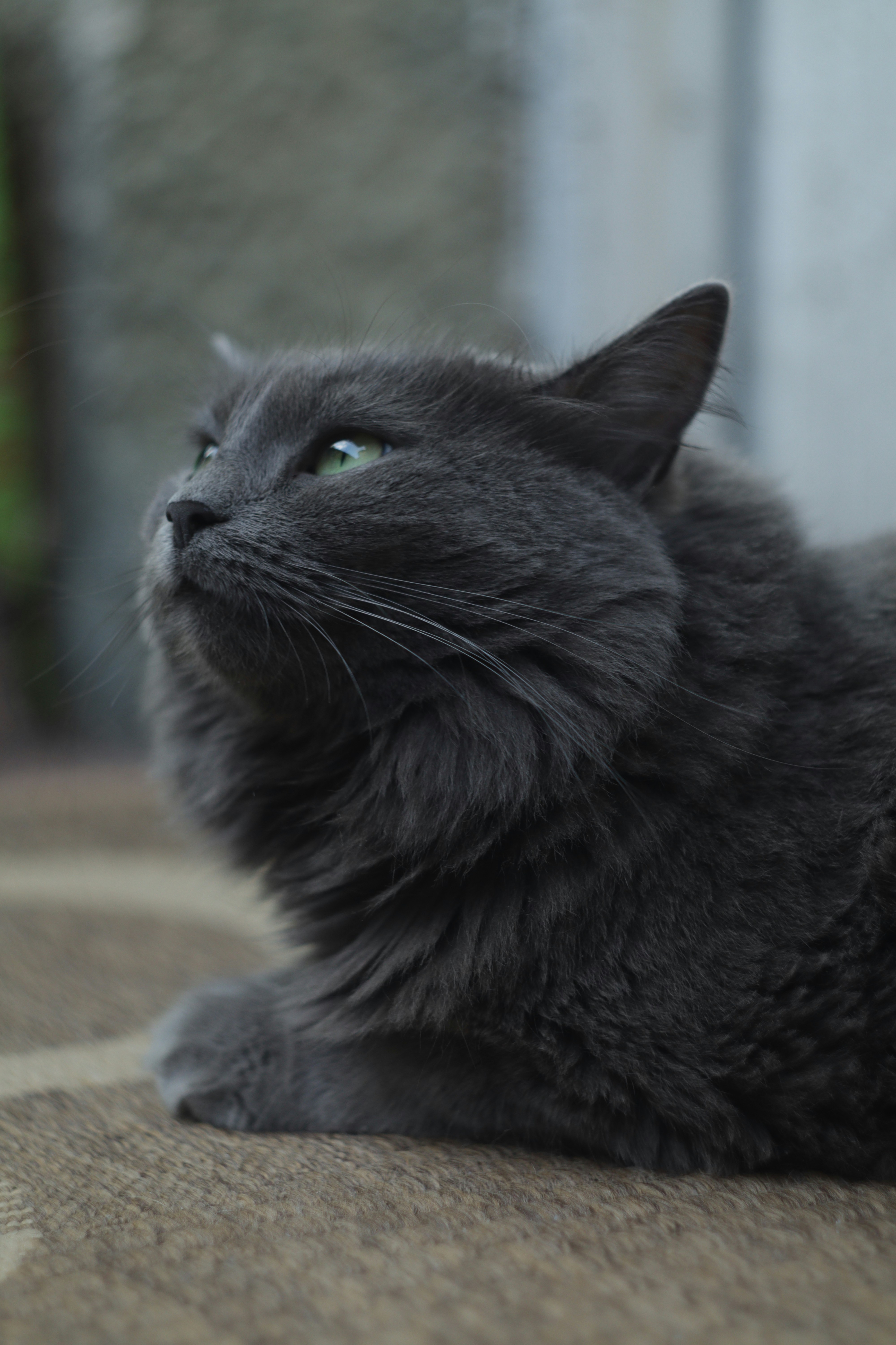 Photo by timesnewroman14