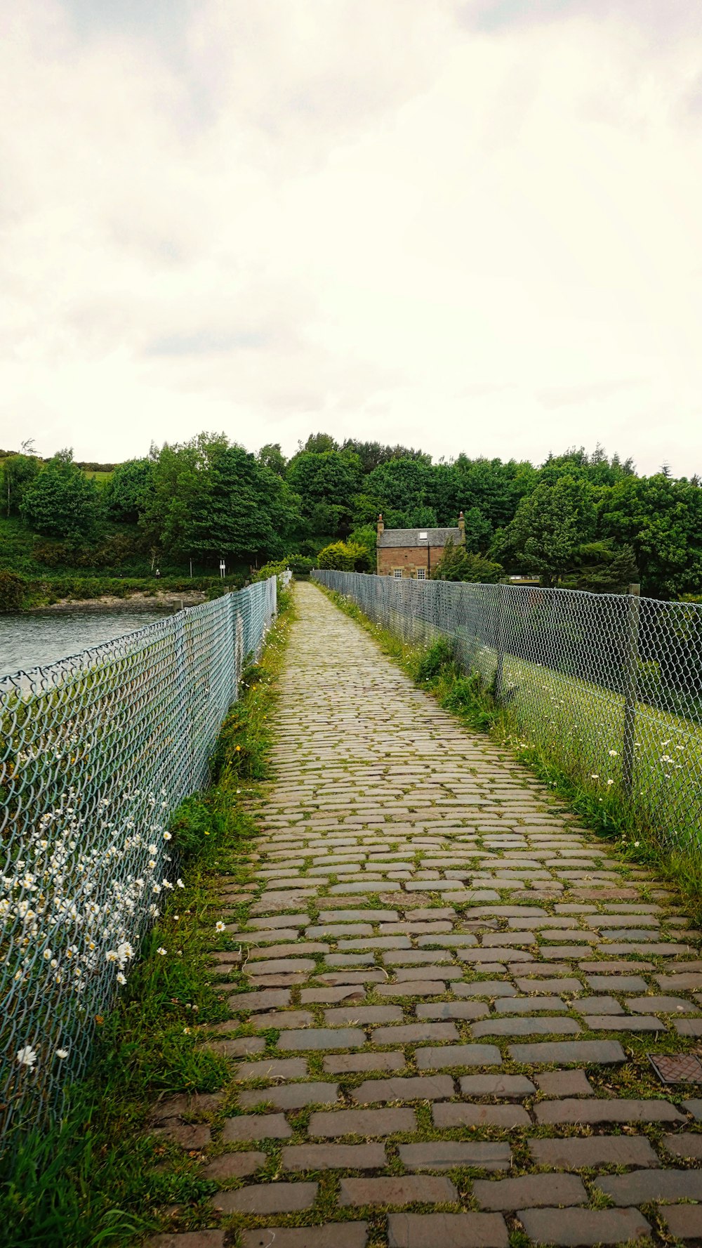 a brick path with a fence and trees on the side