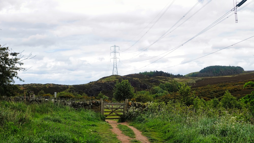 a dirt road in a grassy area