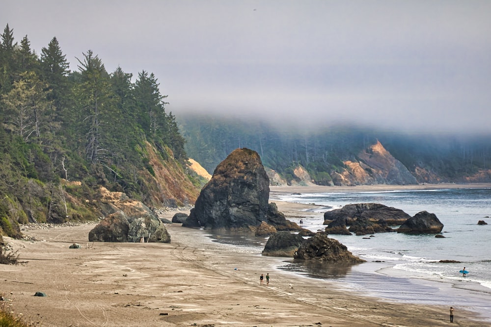 a beach with rocks and trees