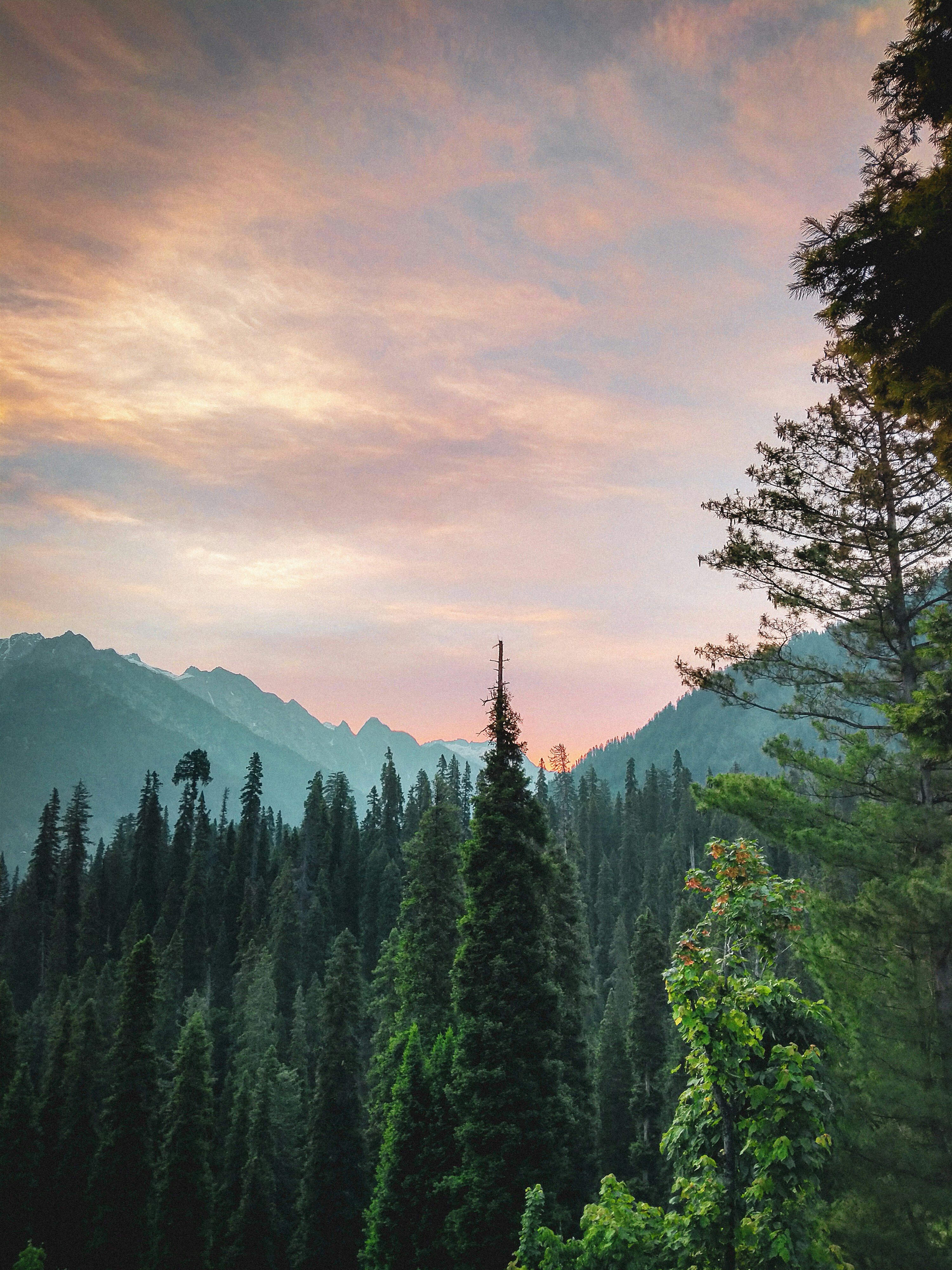 Photo by danishhabib261