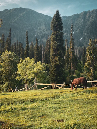 A serene landscape of rolling hills and a grazing horse under a clear blue sky.