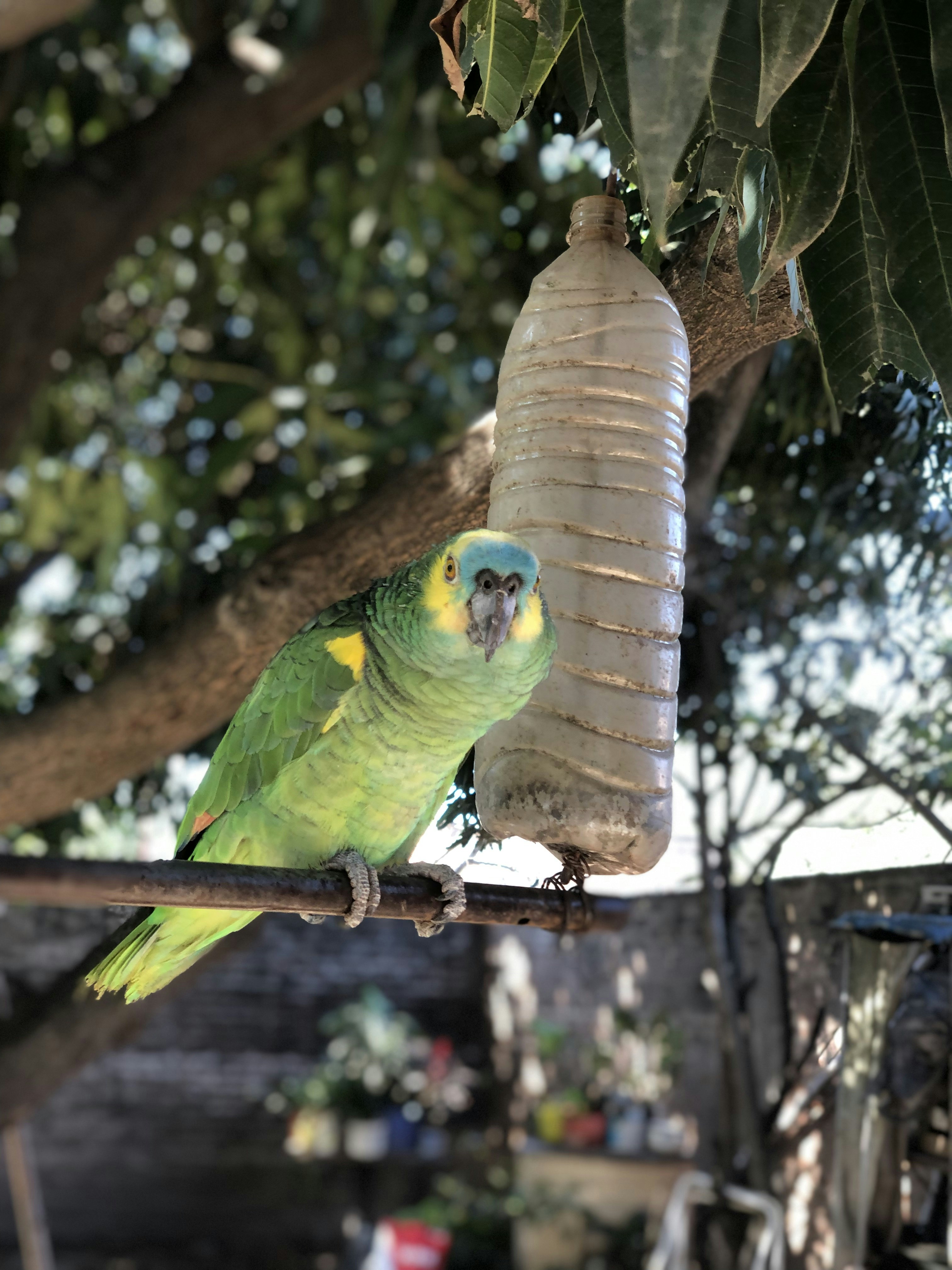 Protection and Safety (image credits: unsplash)