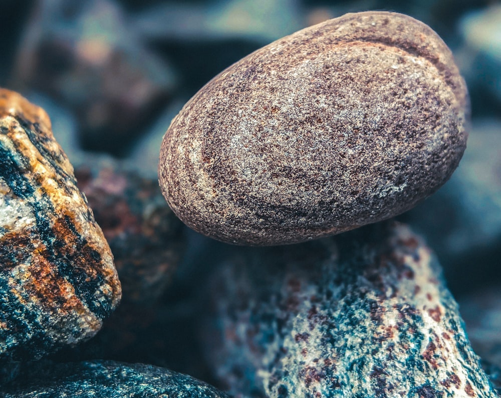 a close up of a mushroom