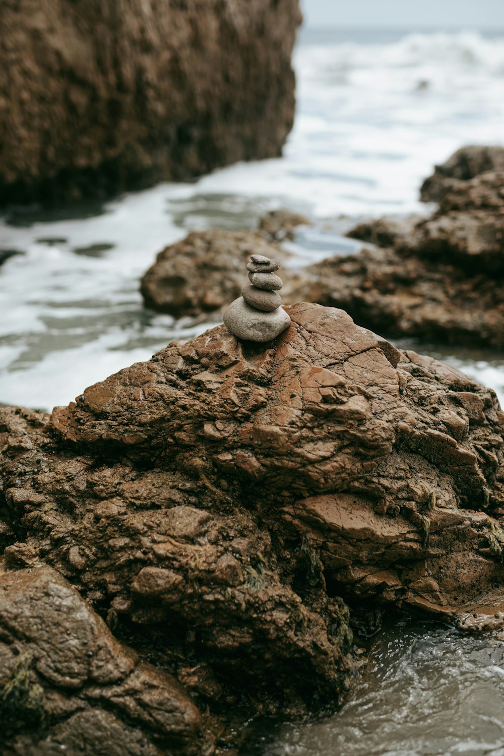 a snail on a rock