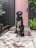 Two dogs, a Labrador and a Boston Terrier, are sitting on a wet wooden walkway in front of a pink door framed by dark walls. The Labrador is sitting behind the Boston Terrier with both looking directly at the camera. Lush green plants are visible around them, adding to the garden-like setting.