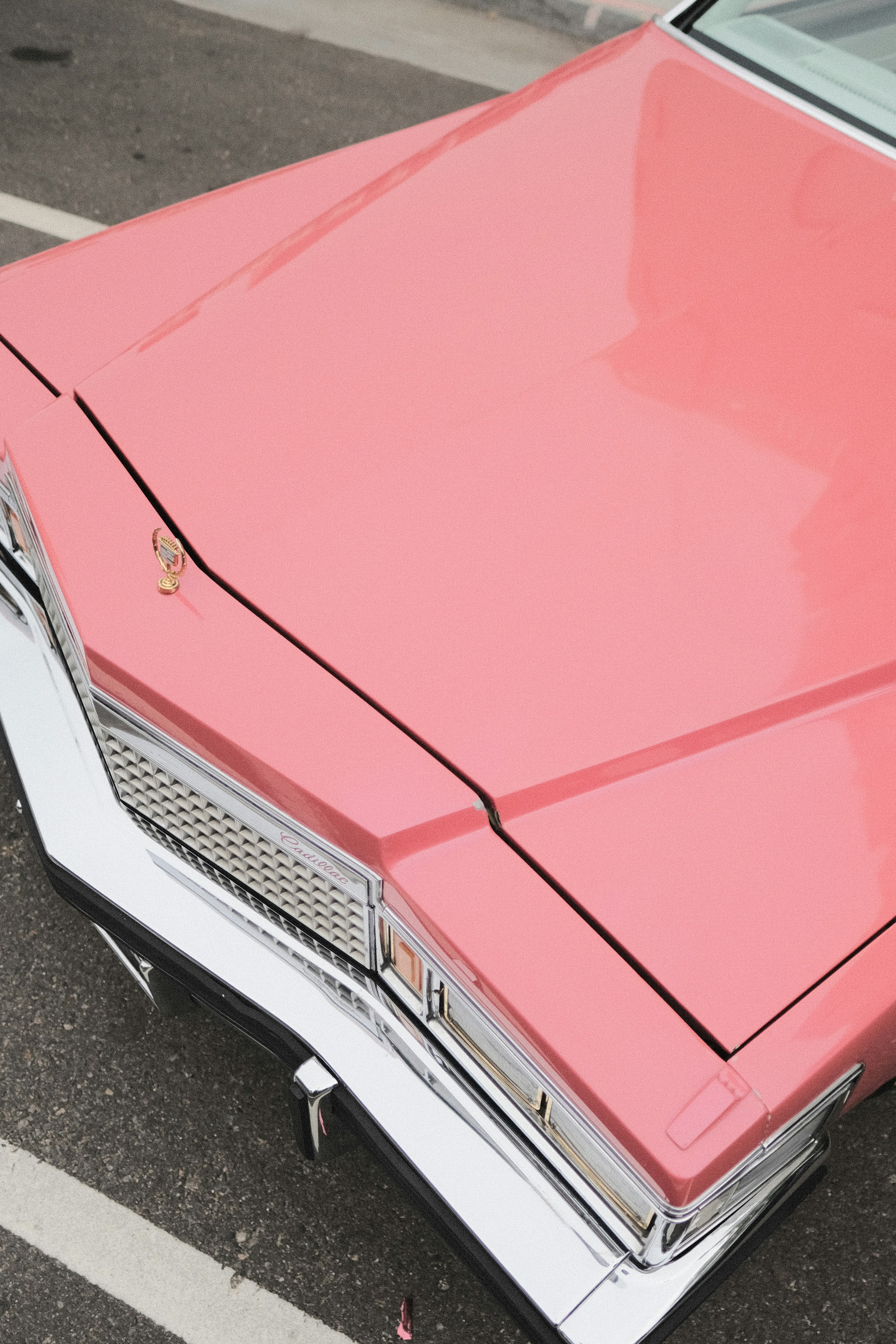 Photo by dillydallying