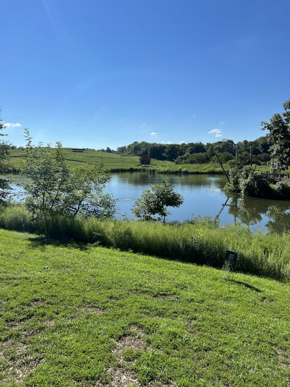 a body of water surrounded by grass and trees