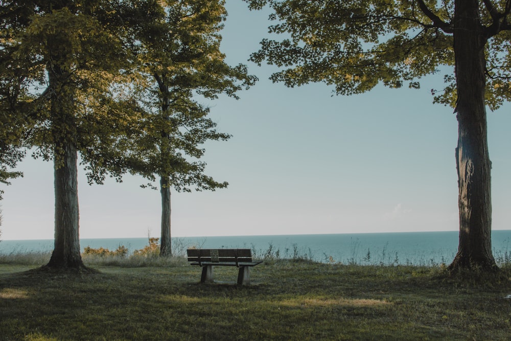 a bench sits unoccupied