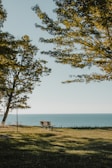 A serene landscape with a person listening to music on a bench.