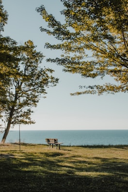 A serene landscape with a person listening to music on a bench.