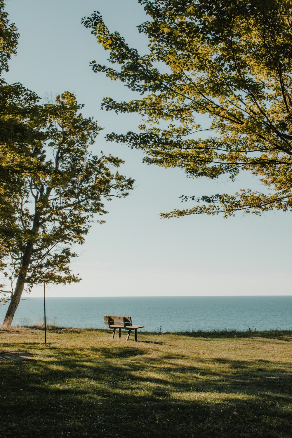 a bench sits unoccupied