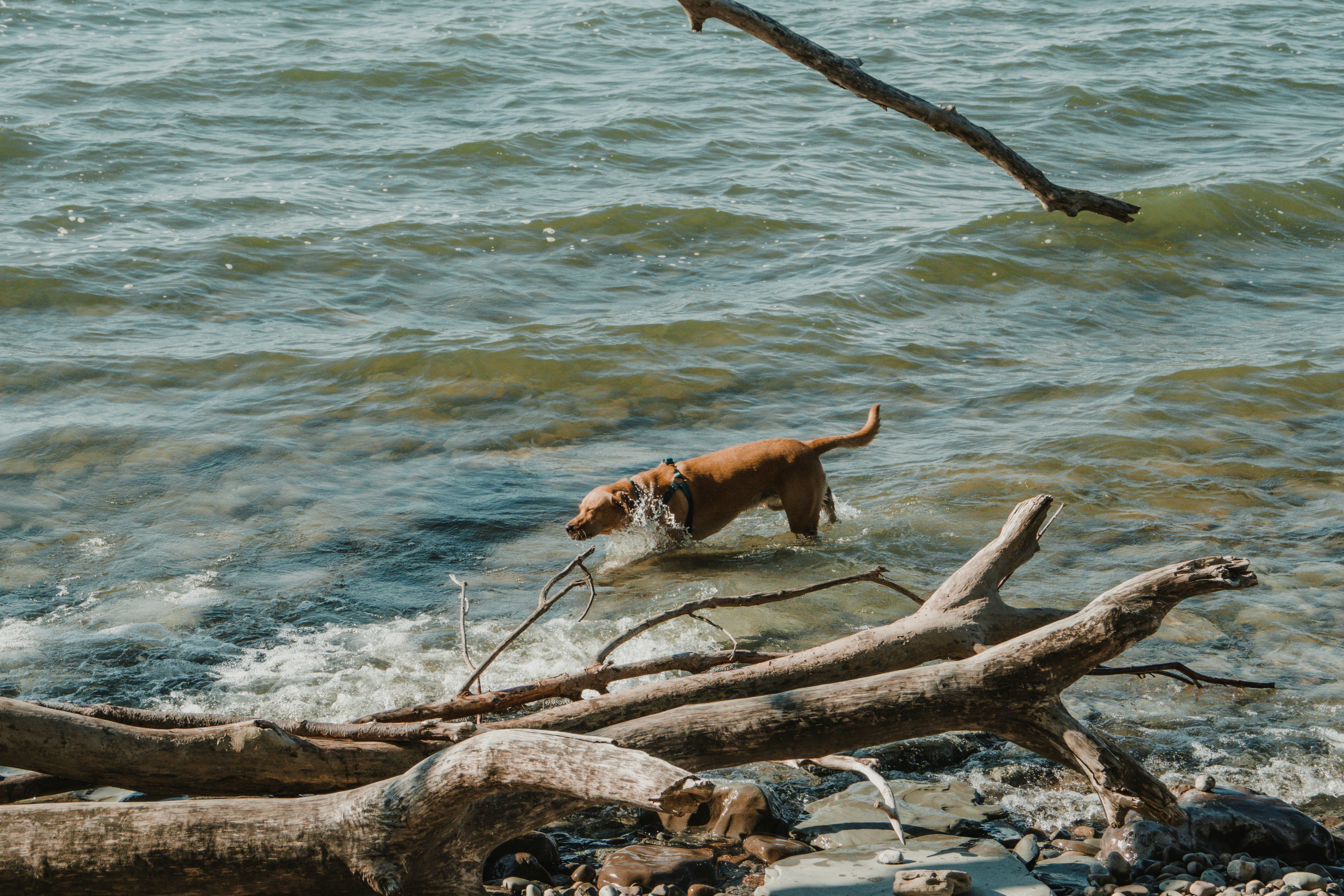 Photo by sydmoore6