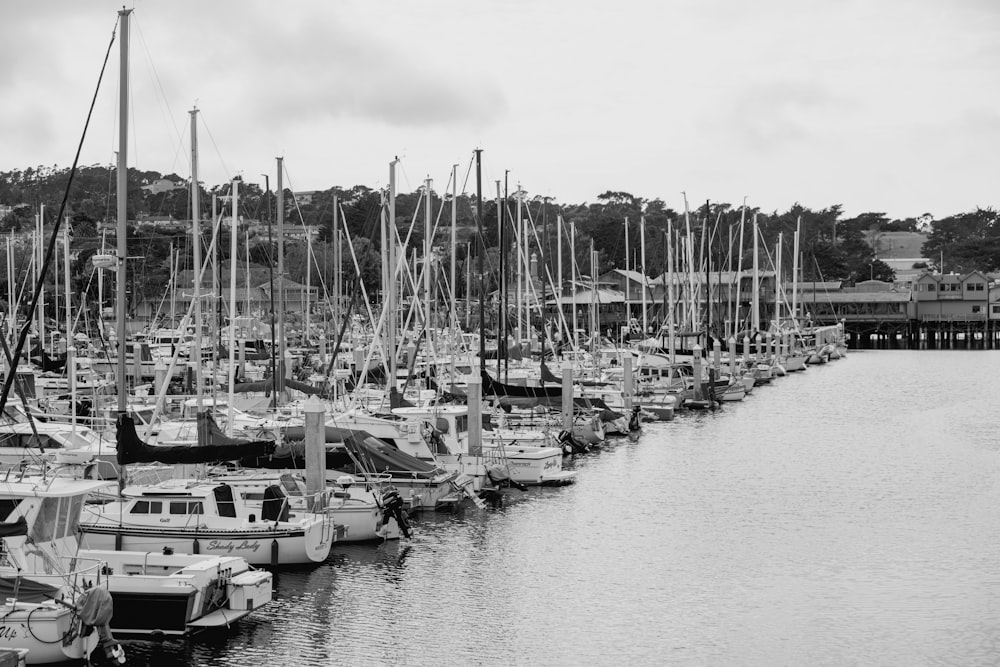 a harbor full of boats