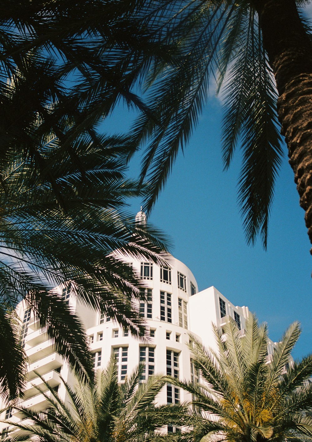 a tall building with trees in front of it