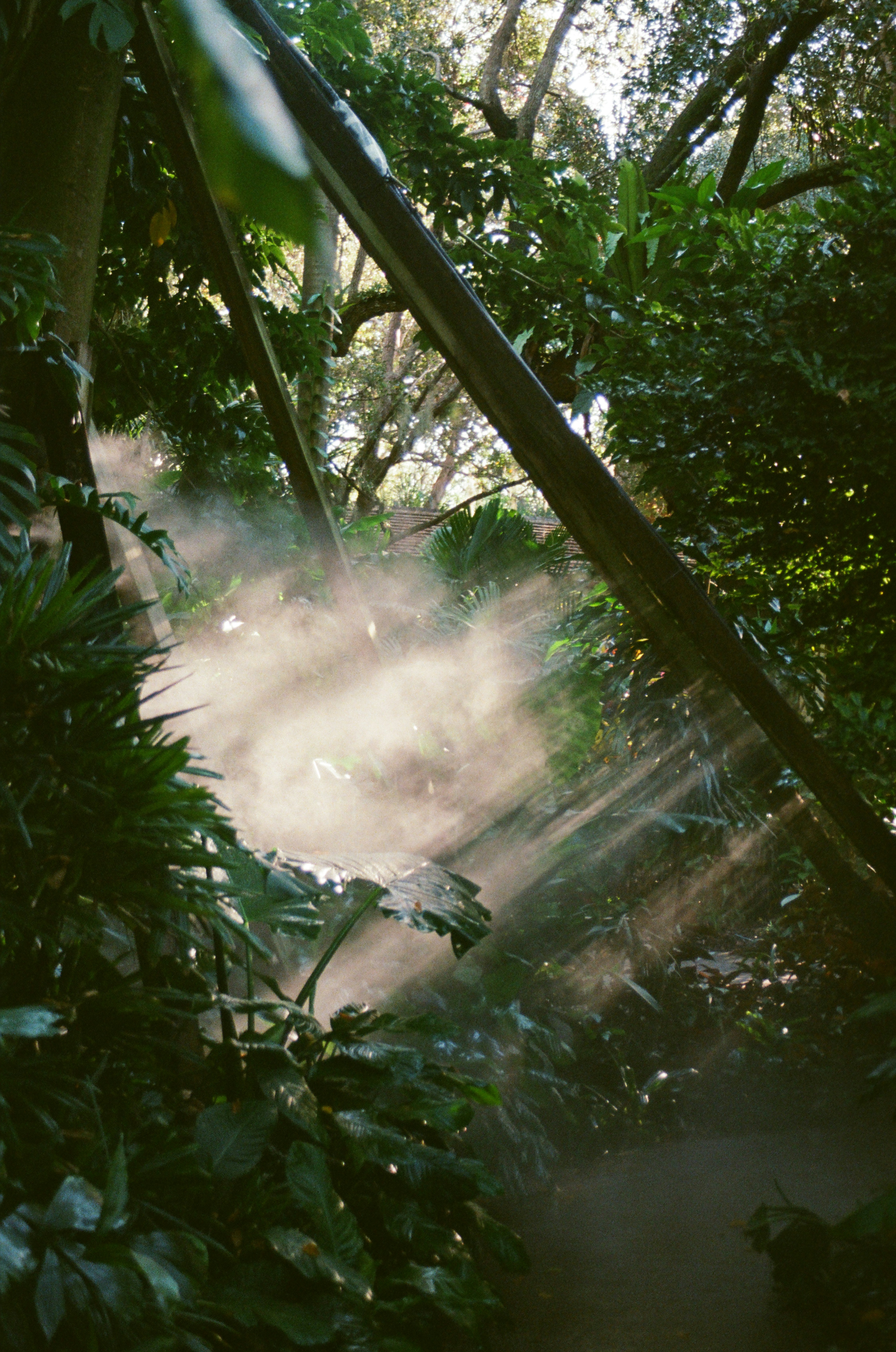 Photo by catch_still