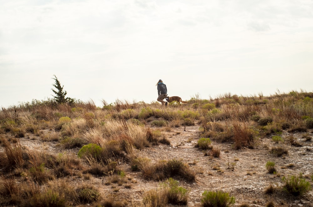 eine Person und ein Hund, die auf einem Feldweg in einer Rasenfläche spazieren gehen