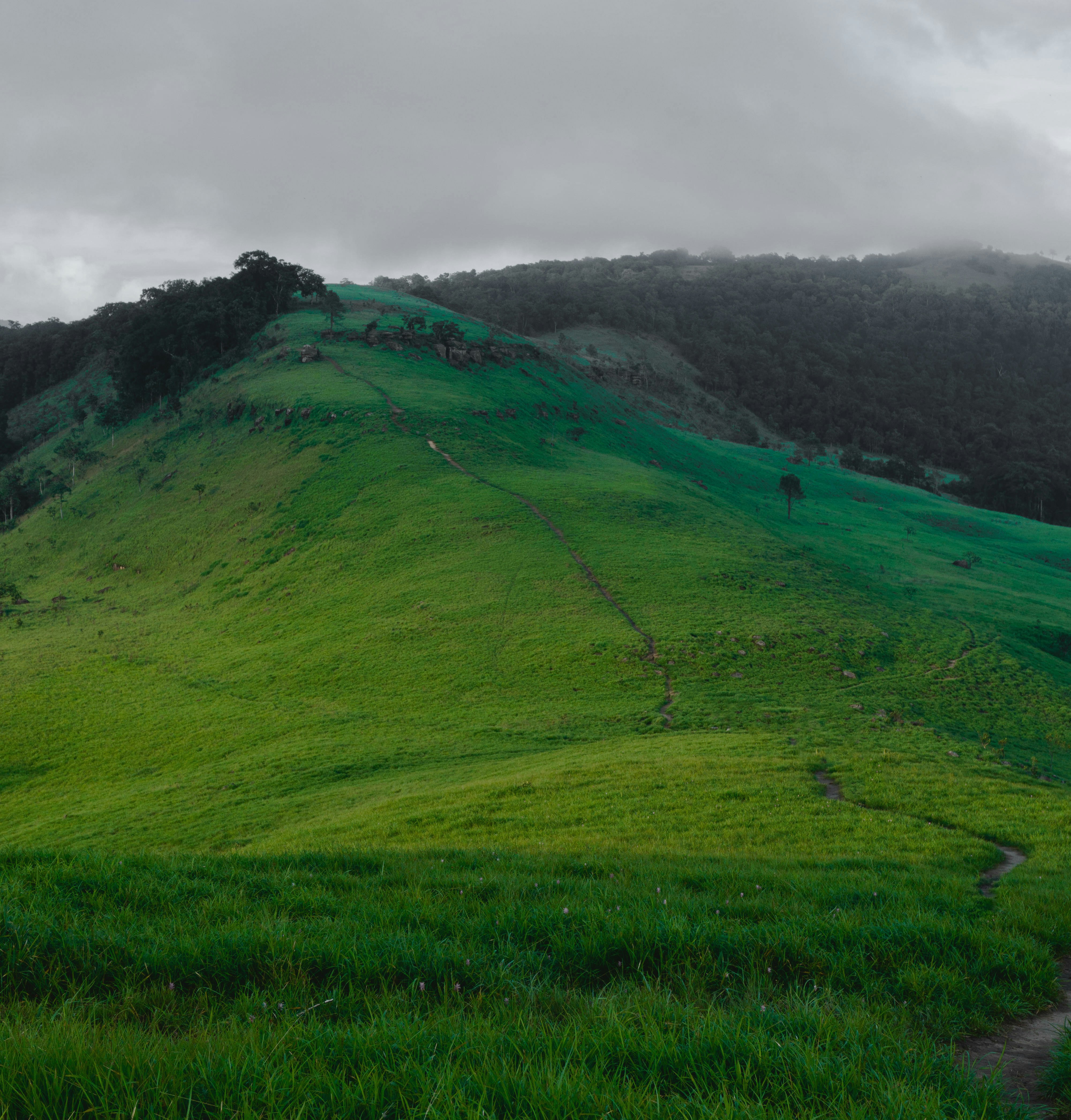 Photo by flitatsu_021