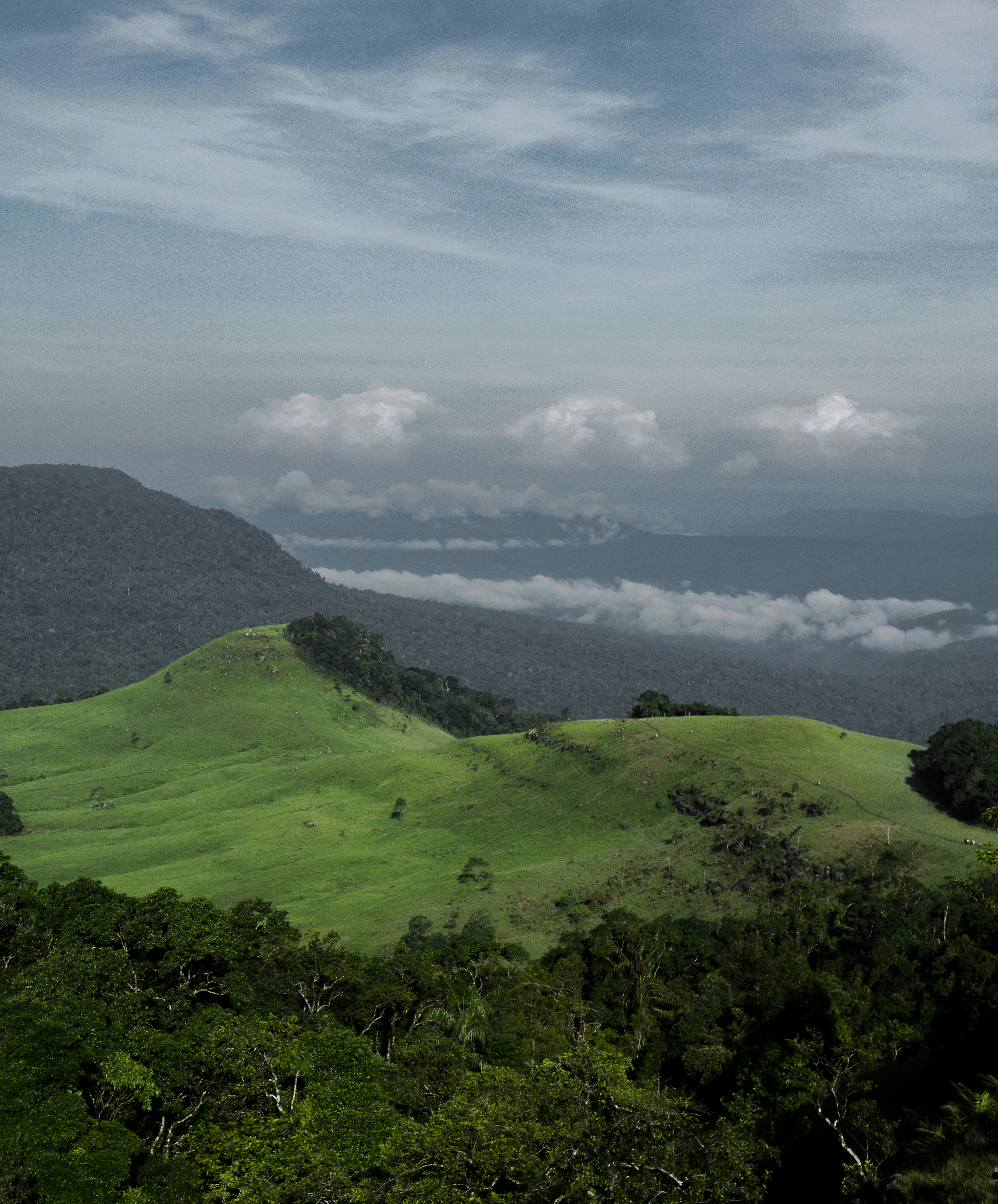 Photo by flitatsu_021