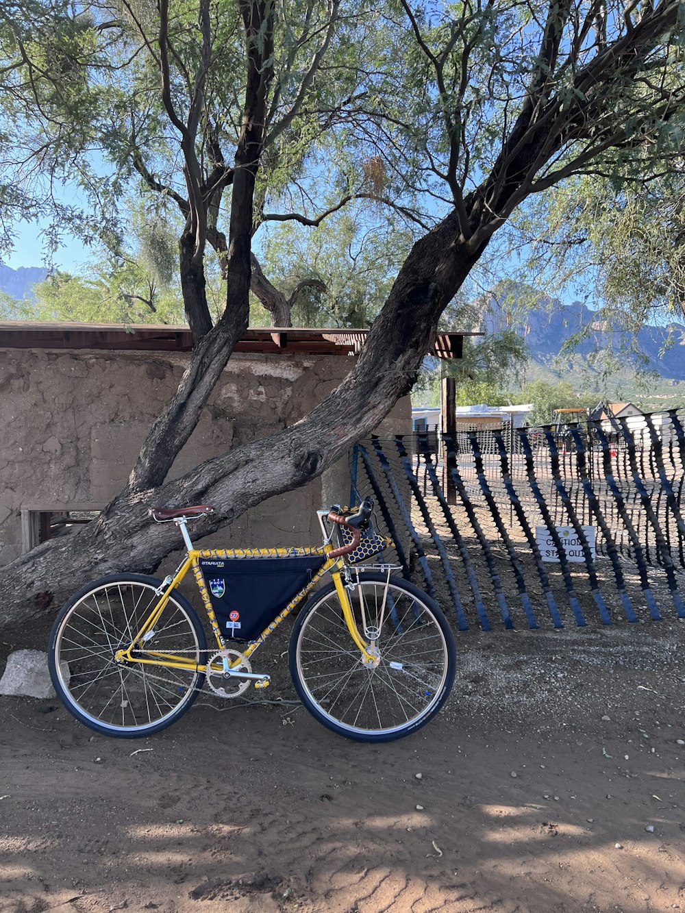 a bicycle parked by a tree