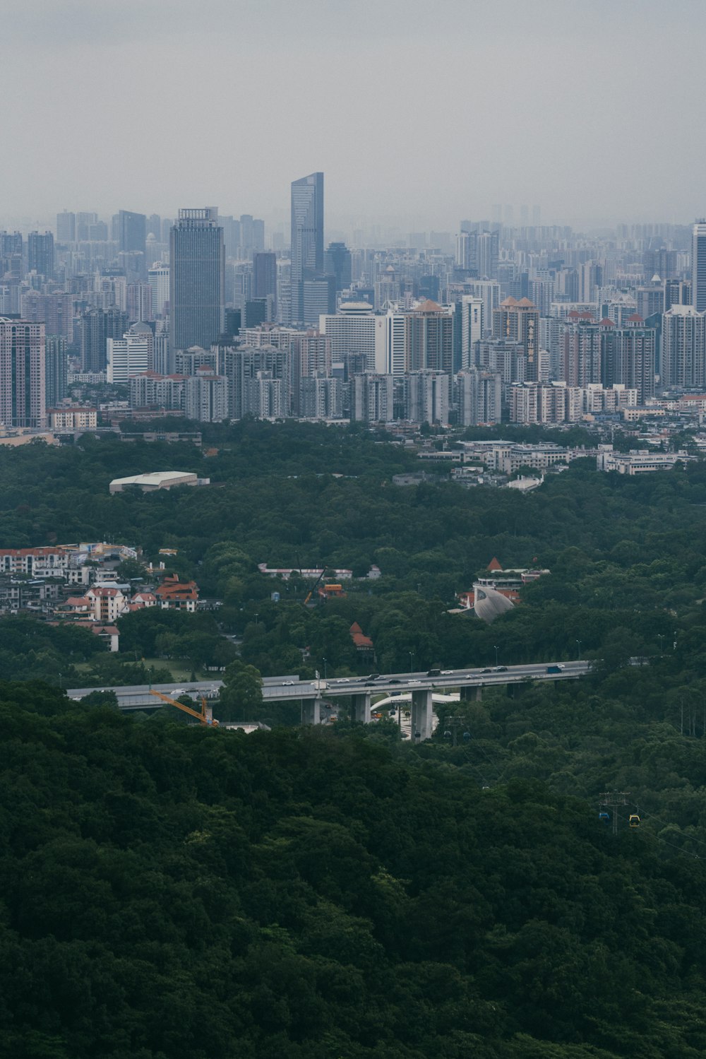 a city with trees and buildings