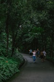 Visitors walking along a shaded path surrounded by greenery at the sanctuary.