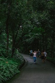 Smiling visitors walking through the lush paths of Zoológico SP, surrounded by exotic animals.