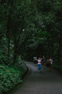 Visitors walking along a shaded path surrounded by greenery at the sanctuary.