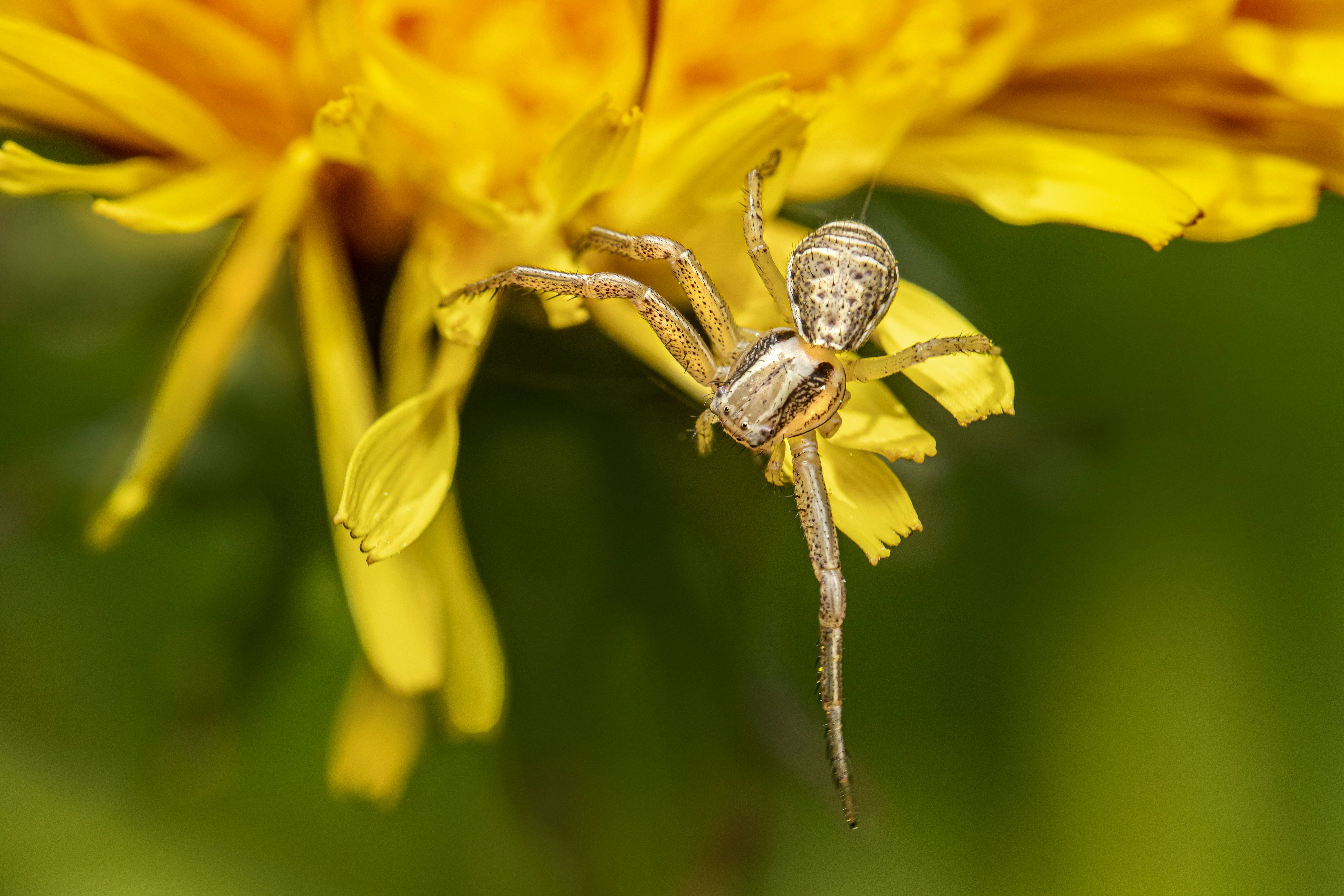 Photo by erik_karits