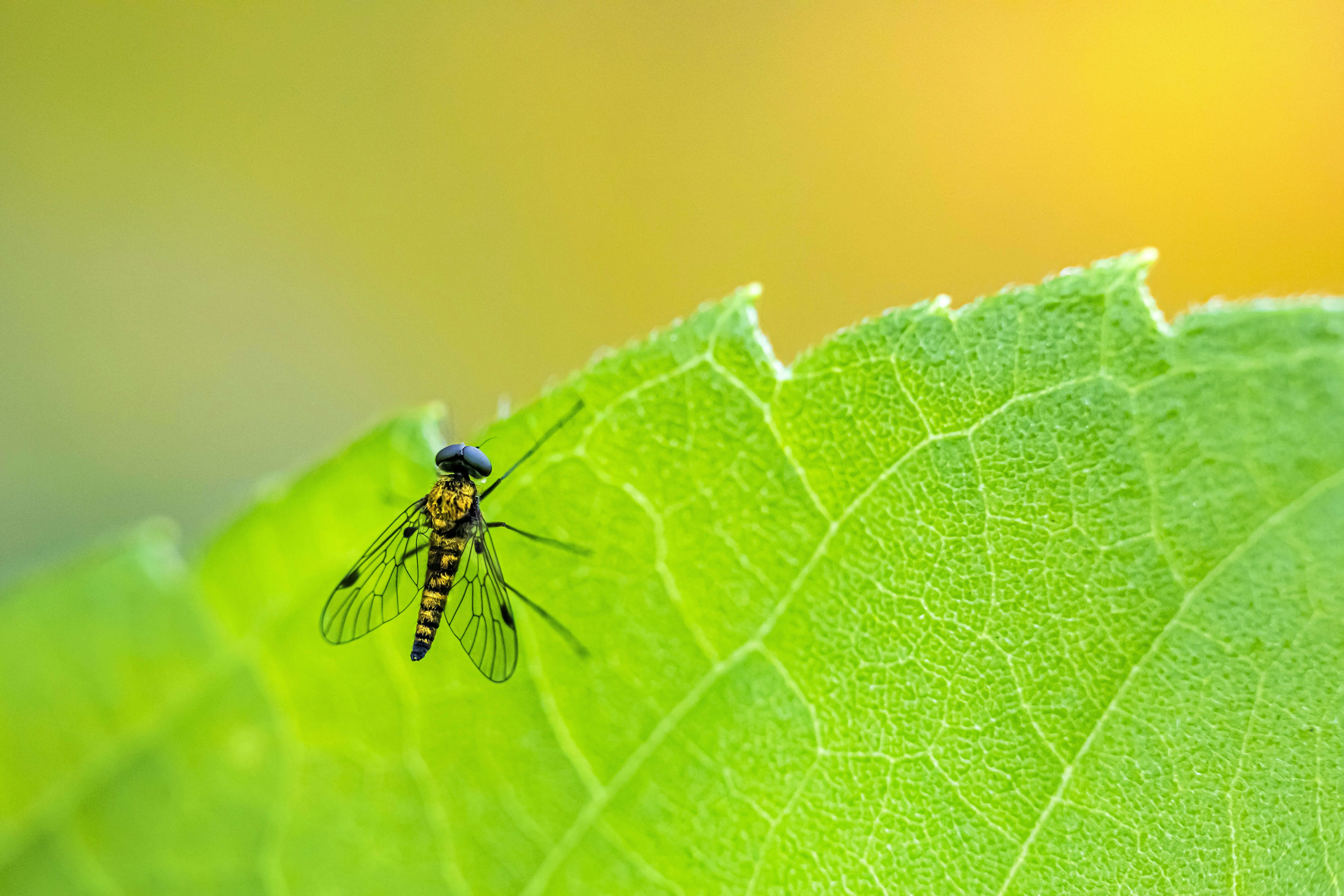 Photo by erik_karits