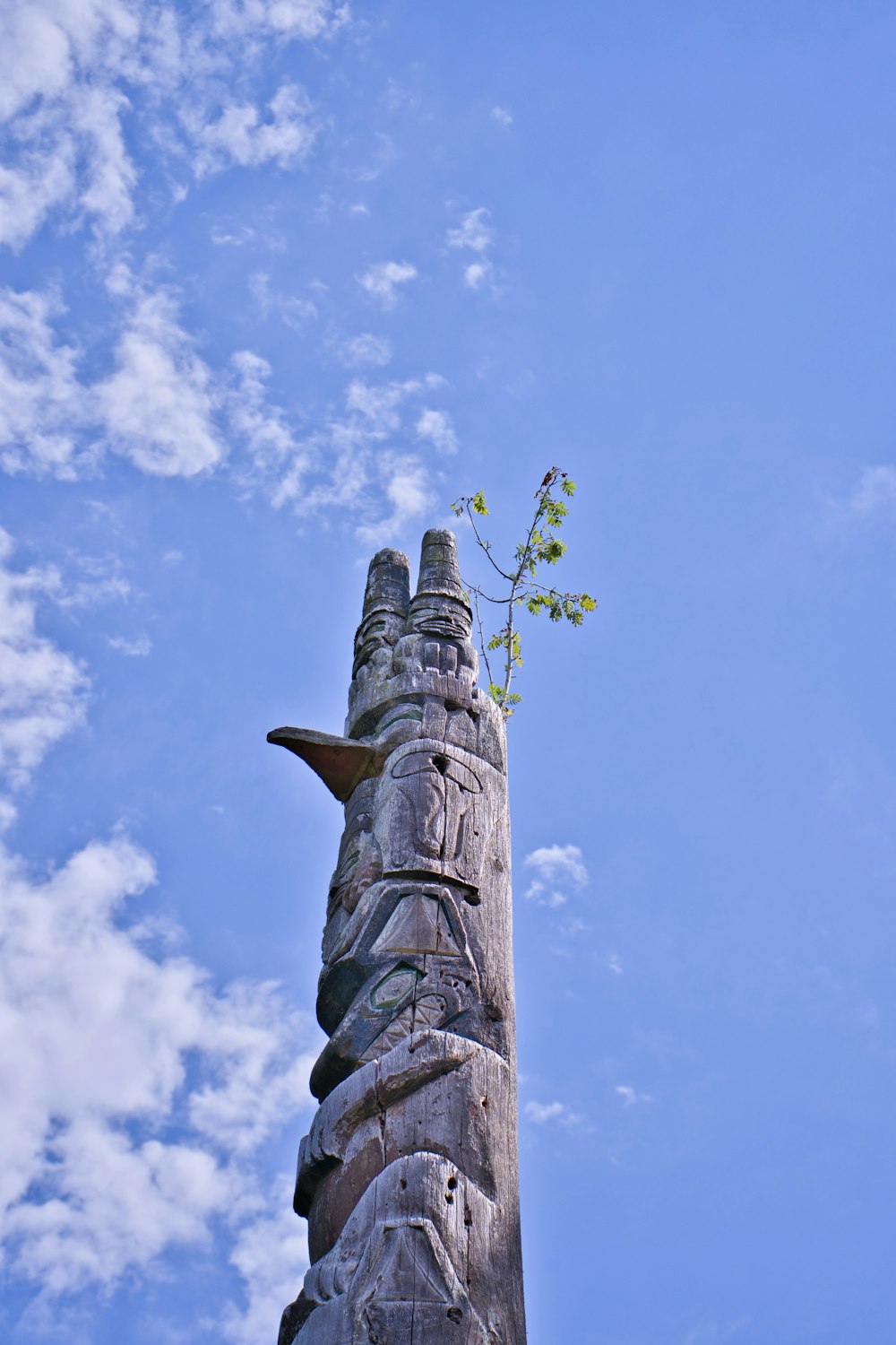 a tall pointed tower with a plant growing on top